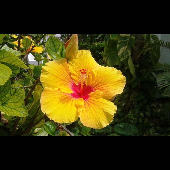 Meet your Posher, Rhi - Picture 1 of 1